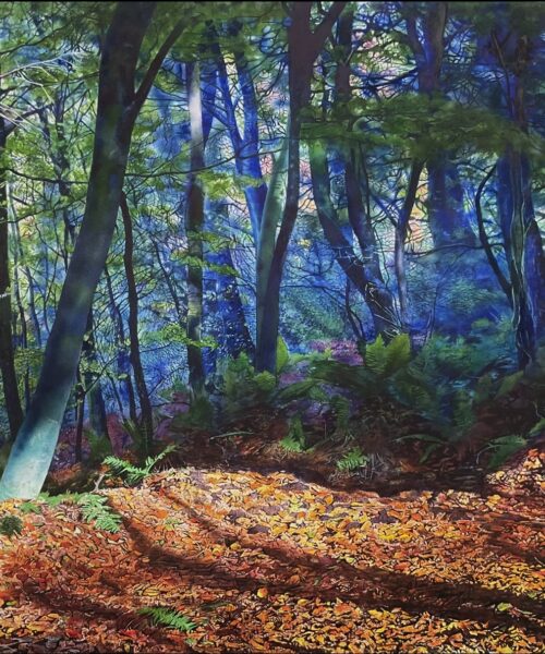 Ramelton Woods, Donegal, 63 x 46 cms